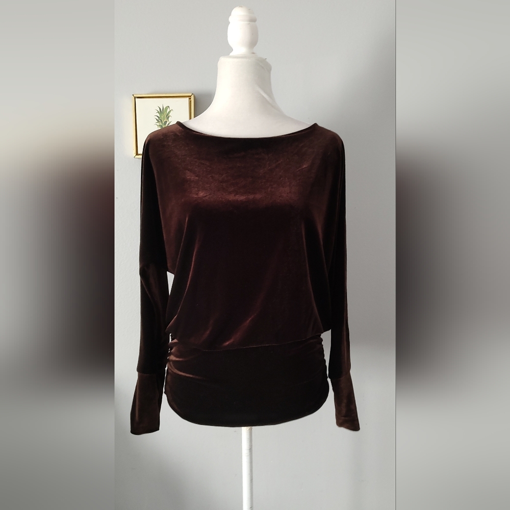 Boston Proper tops  Women Size XS Velvet Brown Long Sleeve Good Condition